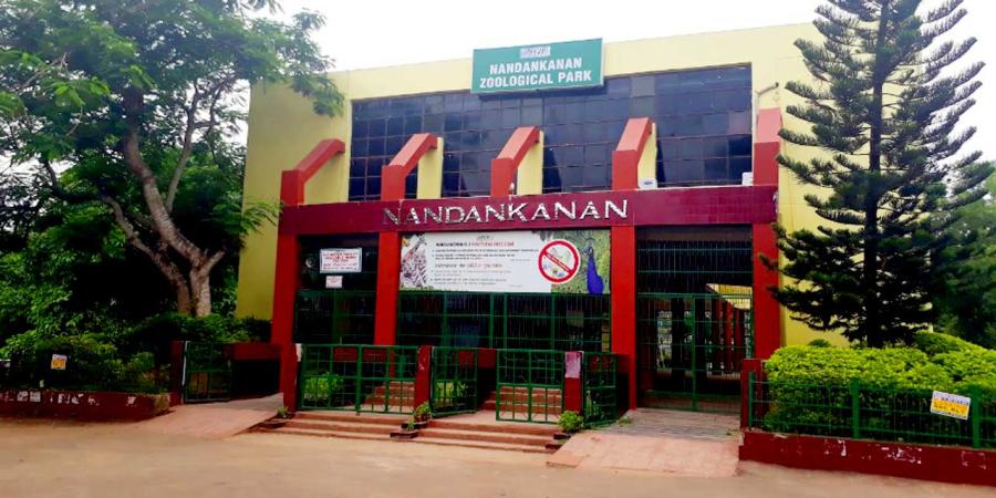 A Memorable Family Day at Nandankanan Zoological Park